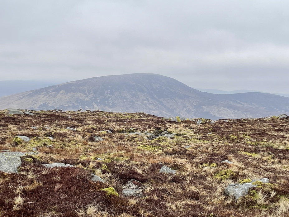 Looking to Tonlagee, Camaderry