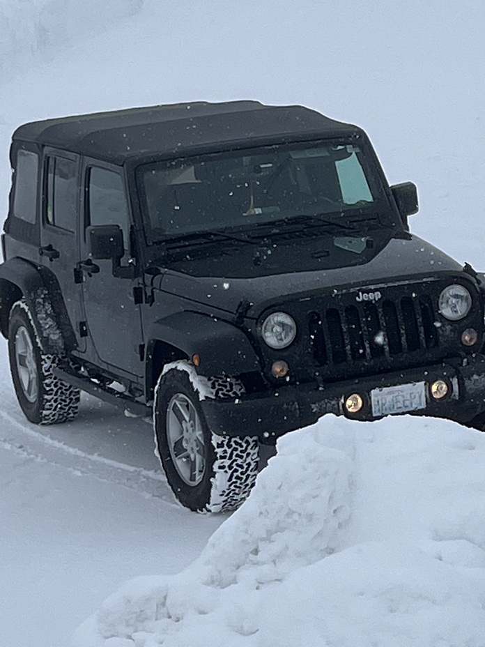 Snow Day, Mount Rainier