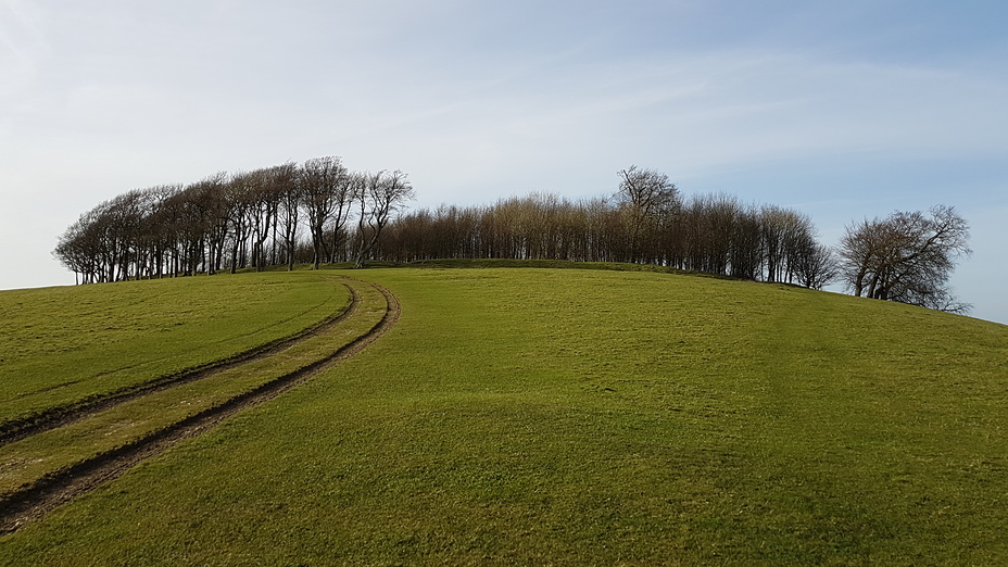 Chanctonbury Ring