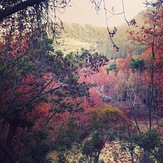 Qalat in Fall, Ghalat