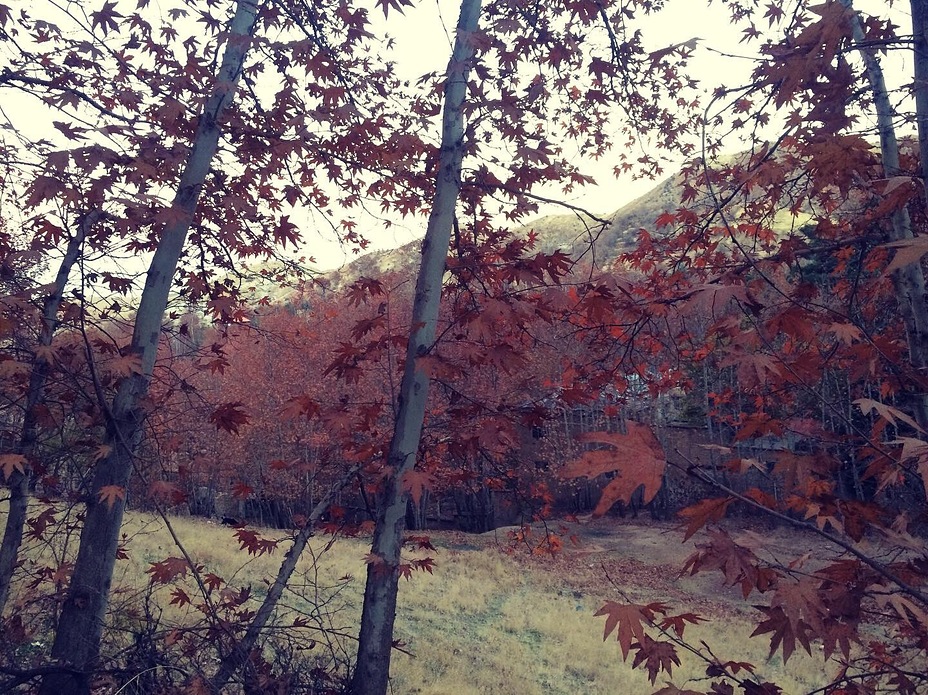 Qalat in Fall, Ghalat