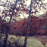 Qalat in Fall, Ghalat