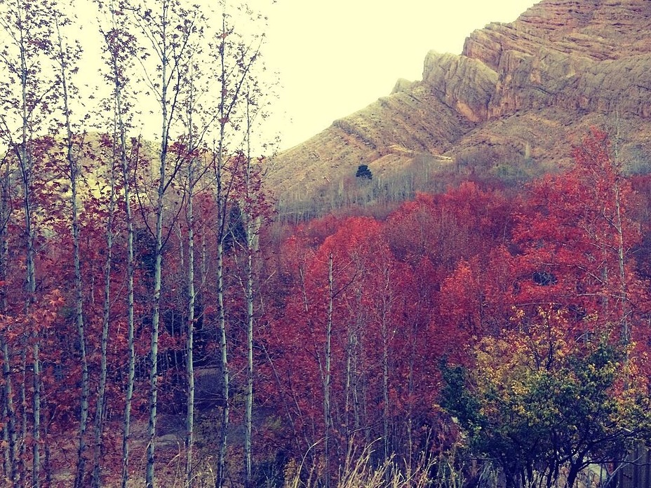 Qalat in Fall, Ghalat