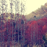 Qalat in Fall, Ghalat