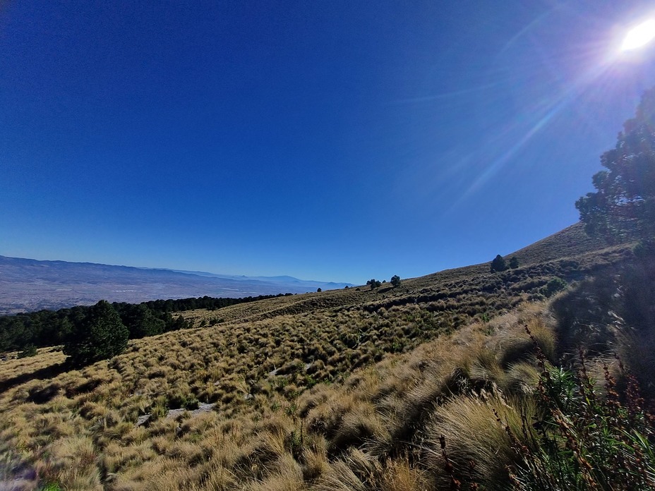 Llegando al arenal, Malinche