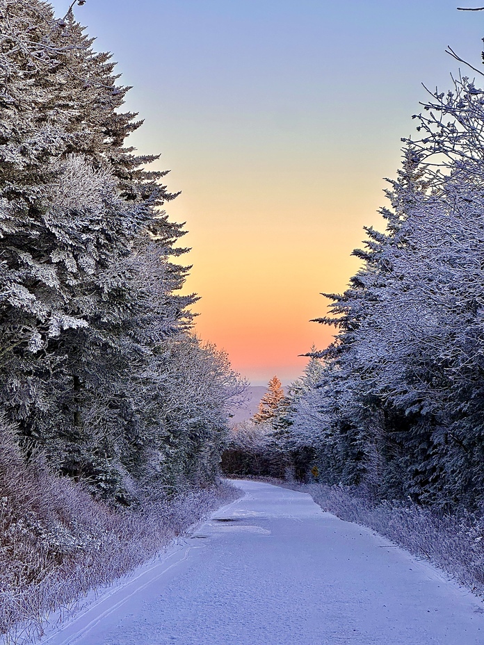 Warm Shades of Winter, Roan High Knob