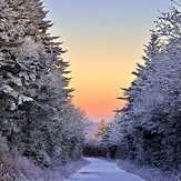 Warm Shades of Winter, Roan High Knob