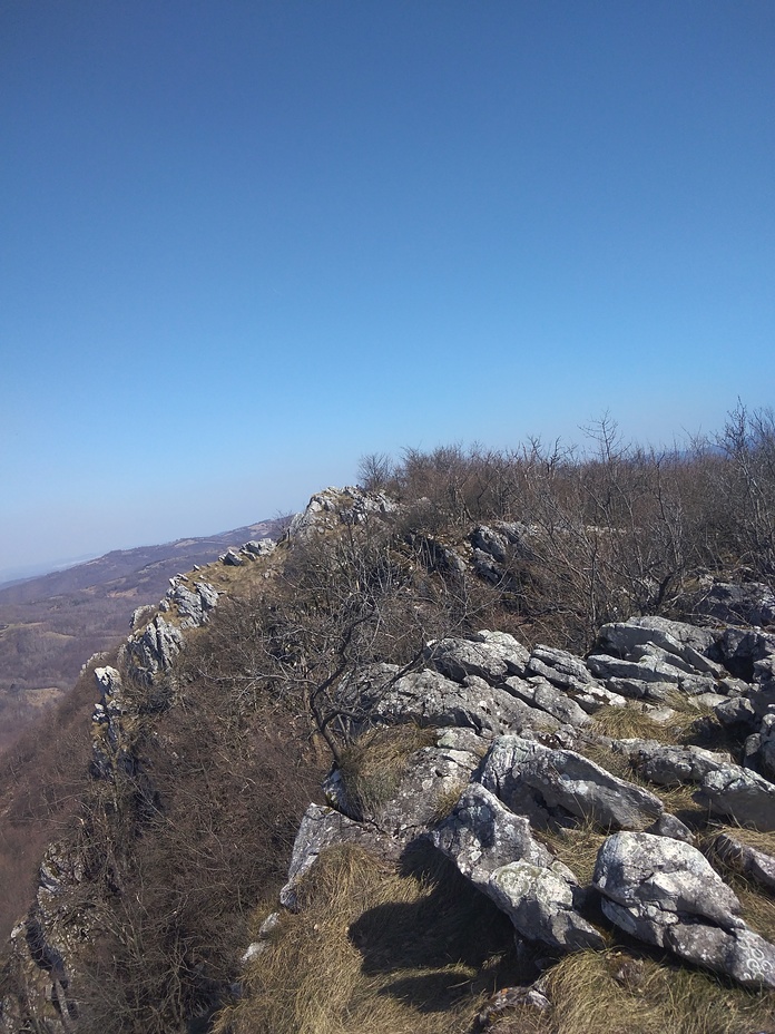 Homolje, Homolje mountains