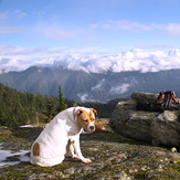 It's a dog's life!, Mount Seymour