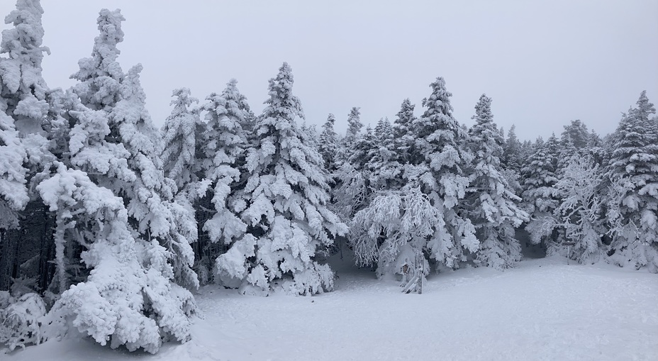 Winter in the clearing, Camels Hump