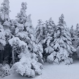 Winter in the clearing, Camels Hump