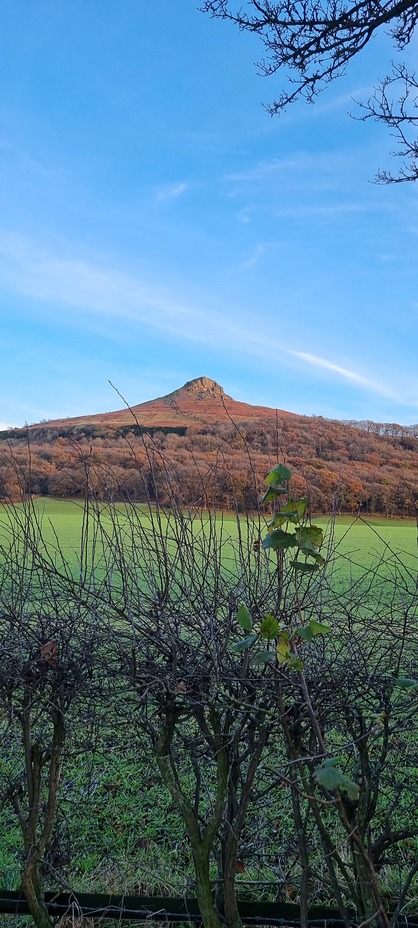 Roseberry Topping 