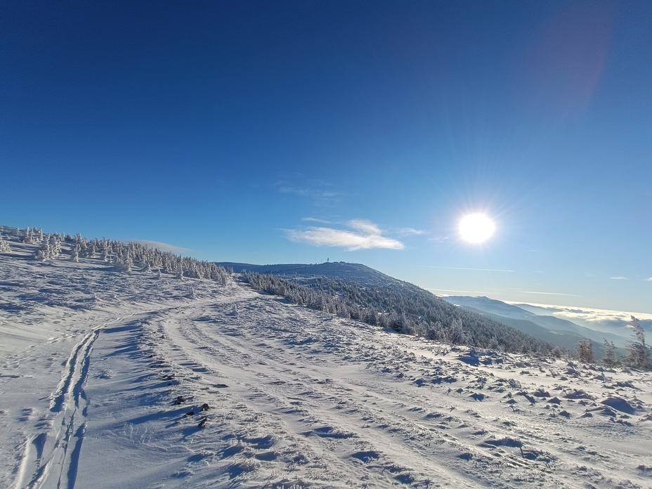 Vladeasa Peak