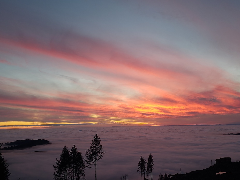 Above the clouds, Larch Mountain (Clark County, Washington)