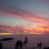 Above the clouds, Larch Mountain (Clark County, Washington)