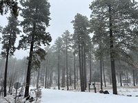 The top of Mingus mou, Mingus Mountain photo