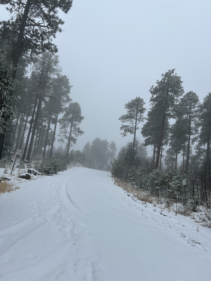 The top of Mingus Mountain 