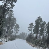 The top of Mingus Mountain 