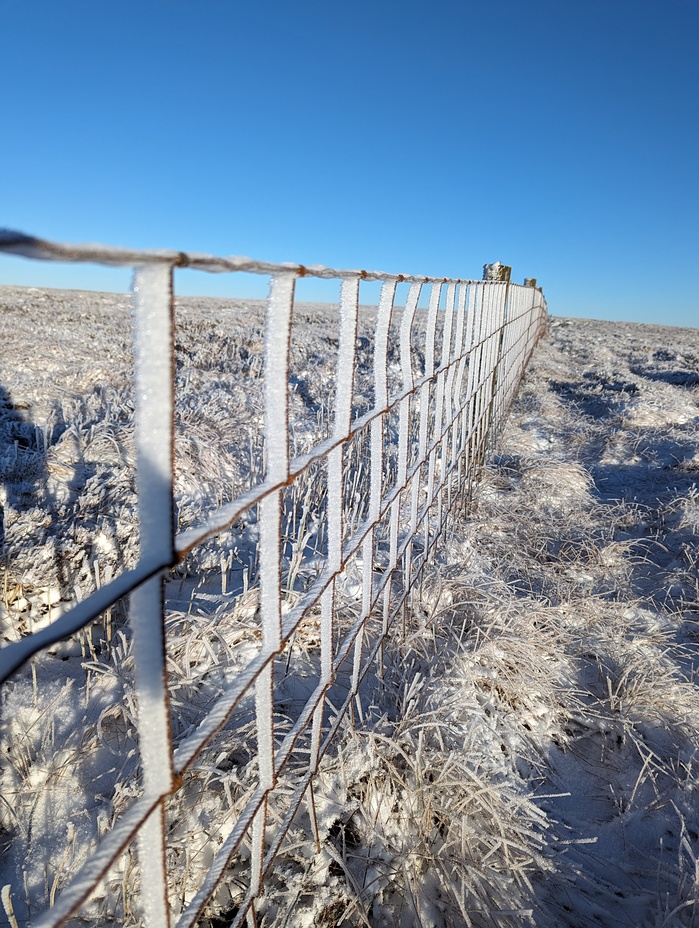 Boundary fence, Sighty Crag