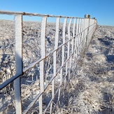 Boundary fence, Sighty Crag