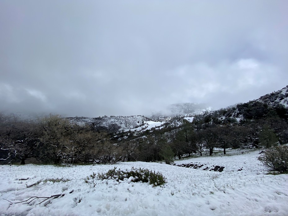 Snow on Fig Mtn Road 2.25.23, Figueroa Mountain