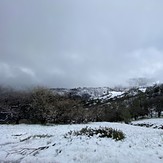 Snow on Fig Mtn Road 2.25.23, Figueroa Mountain