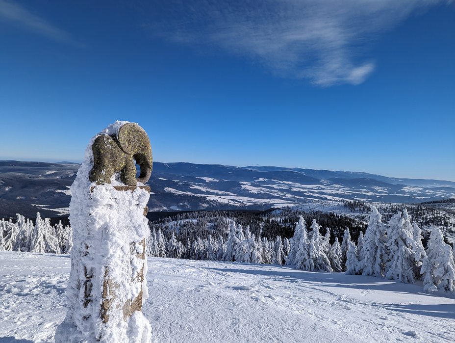 Śnieżnik, Králický Sněžník