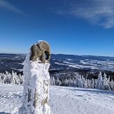 Śnieżnik, Králický Sněžník