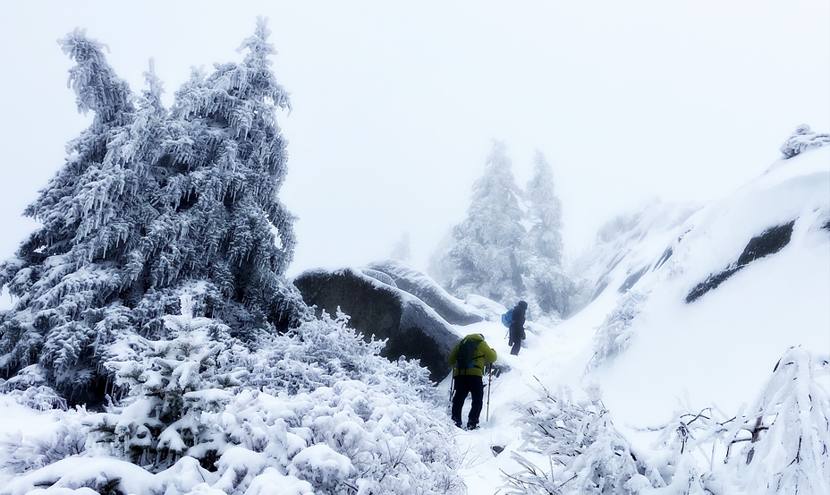 Snow Mad, Mount Monadnock