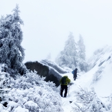 Snow Mad, Mount Monadnock