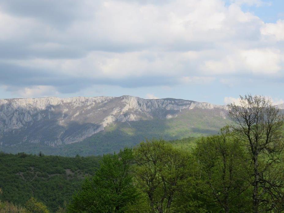 Tupiznica, Tupižnica