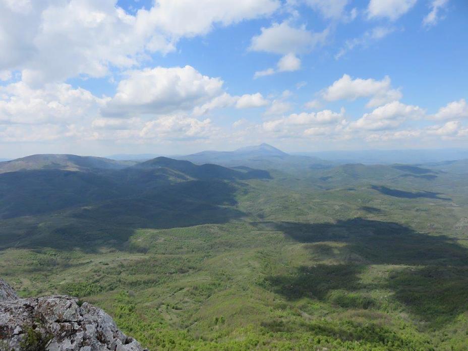 Tupiznica, Tupižnica