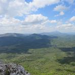 Tupiznica, Tupižnica