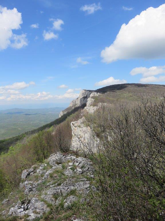 Tupiznica, Tupižnica