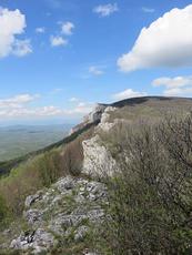 Tupiznica, Tupižnica photo