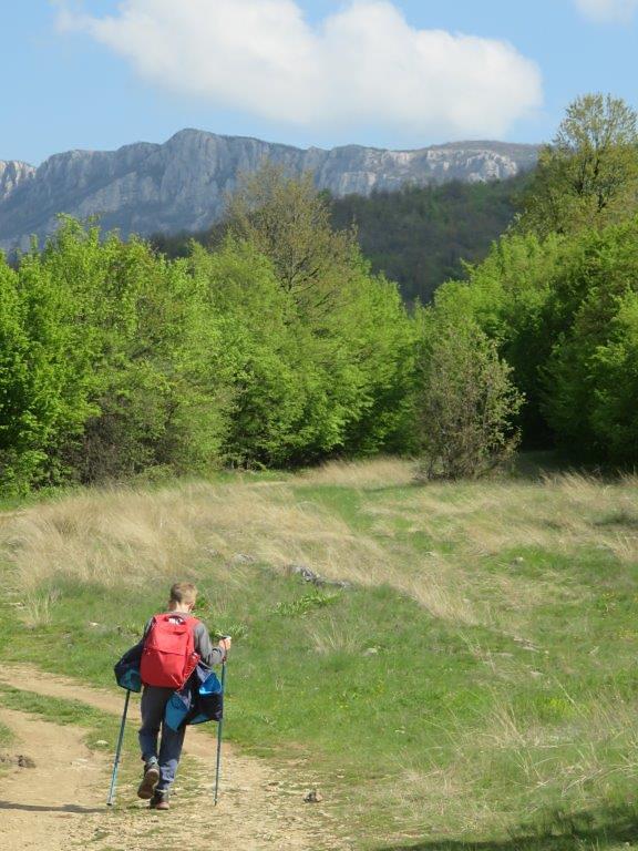 Tupiznica, Tupižnica