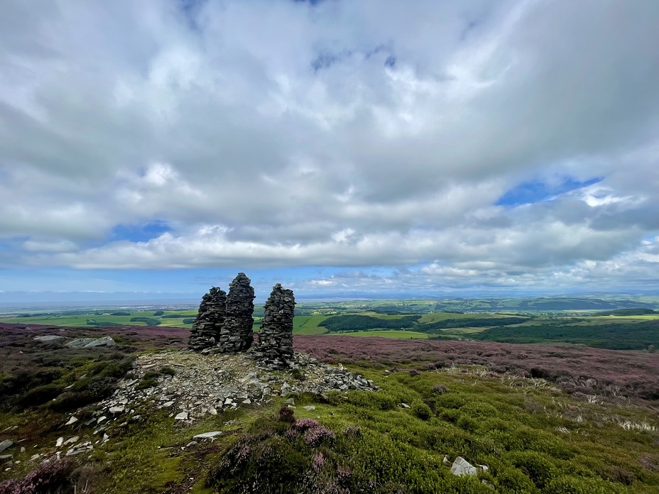 Cairns and Heather, Clougha Pike