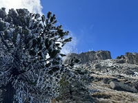 Peña Cofre de Perote photo