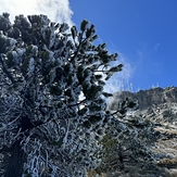 Peña Cofre de Perote