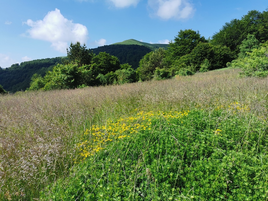 Veliki Strešer 1876m, Veliki Streser