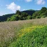 Veliki Strešer 1876m, Veliki Streser