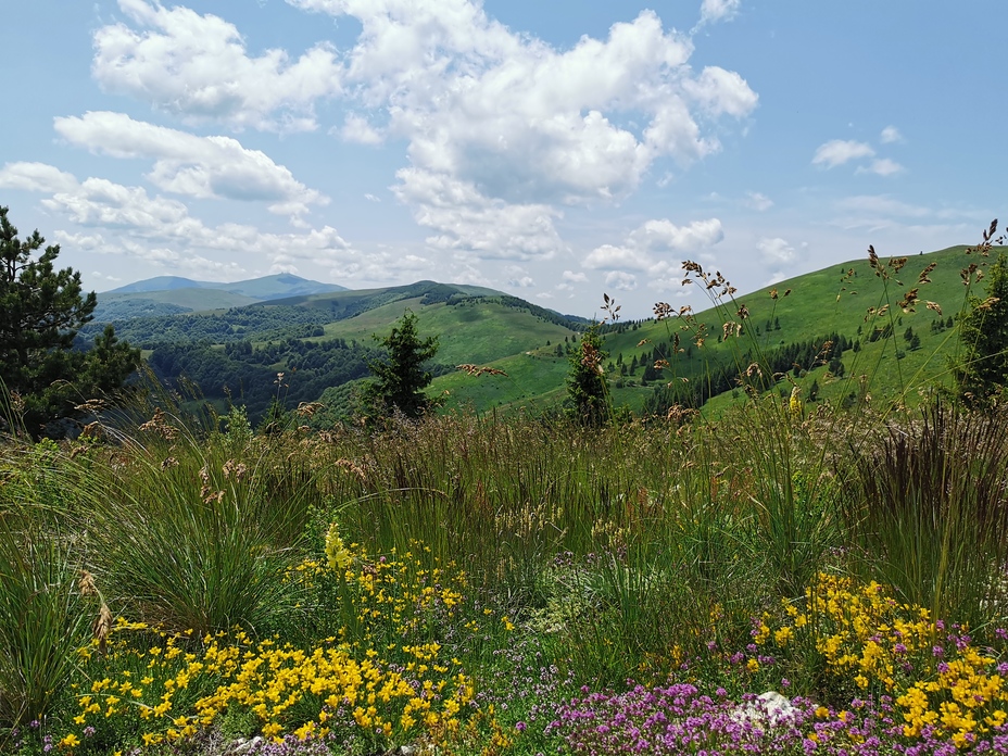 Veliki Strešer 1876m, Veliki Streser