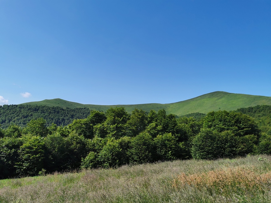 Veliki Strešer 1876m, Veliki Streser