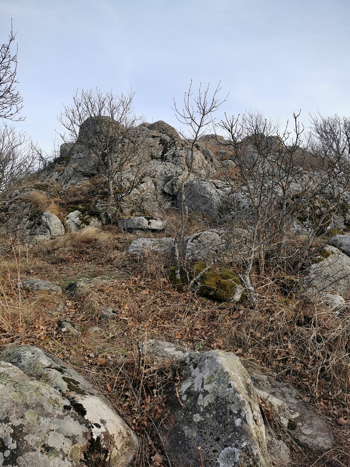 Petrova gora, 1149m, Radan (mountain)