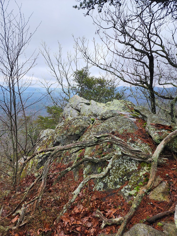 Heaven, Cheaha Mountain