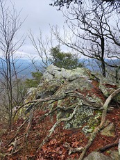 Heaven, Cheaha Mountain photo