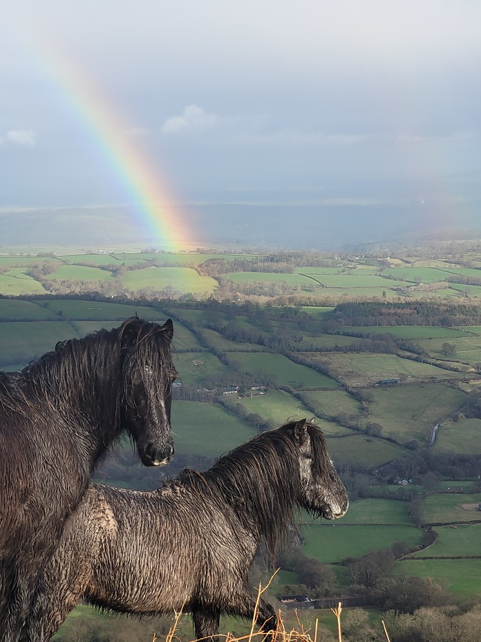 Herefordshire from the Black Hill, Waun Fach