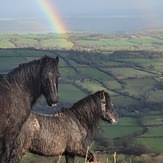 Herefordshire from the Black Hill, Waun Fach