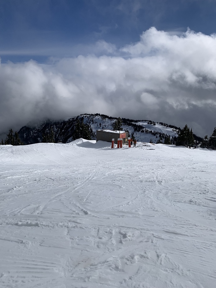 Top of eagle chair, Mount Washington (British Columbia)