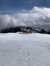 Top of eagle chair, Mount Washington (British Columbia) photo